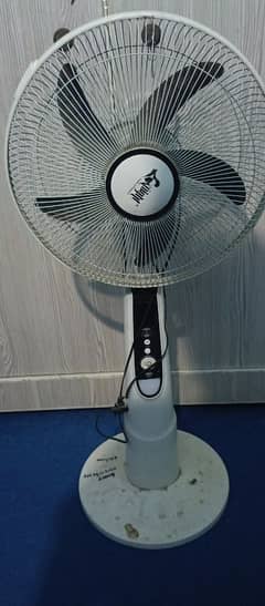 Fan