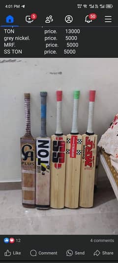 hardball cricket bat