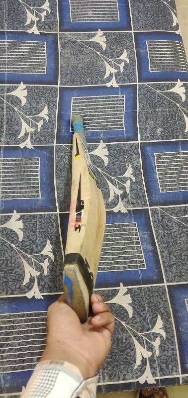 hardball cricket bat 2