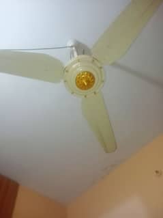 RADO fan ha 2 add AC DC no 03022804749