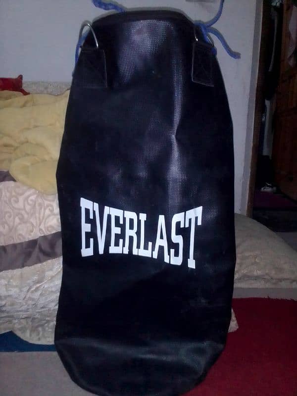 Gym Boxing kit Everlast 2