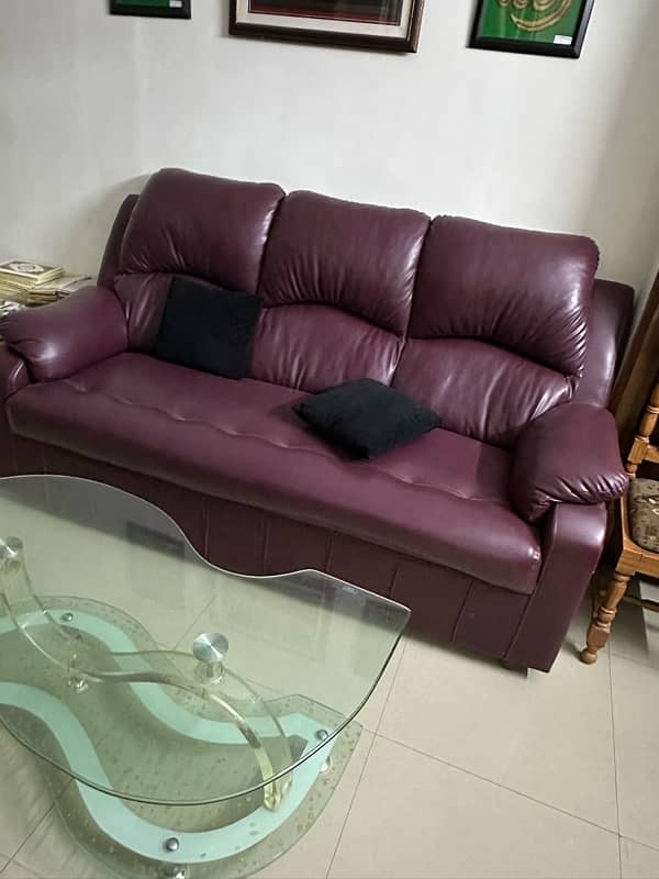 7 seater sofa with center table 2