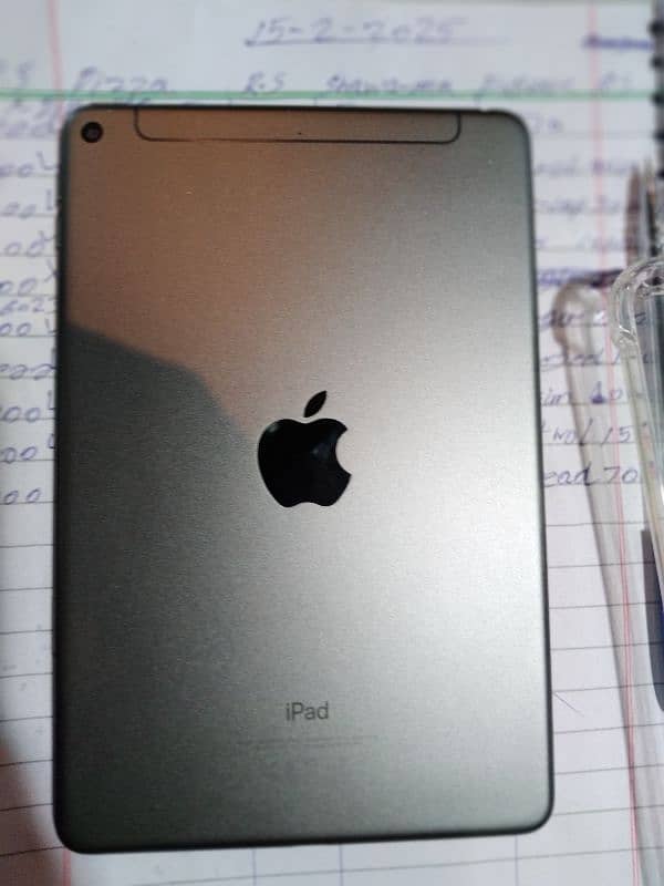 ipad mini 5 0