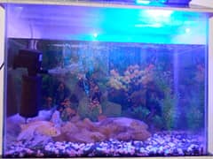 Fish Acquarium for sale