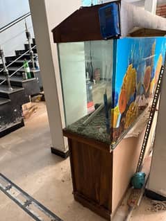 Fish Aquarium