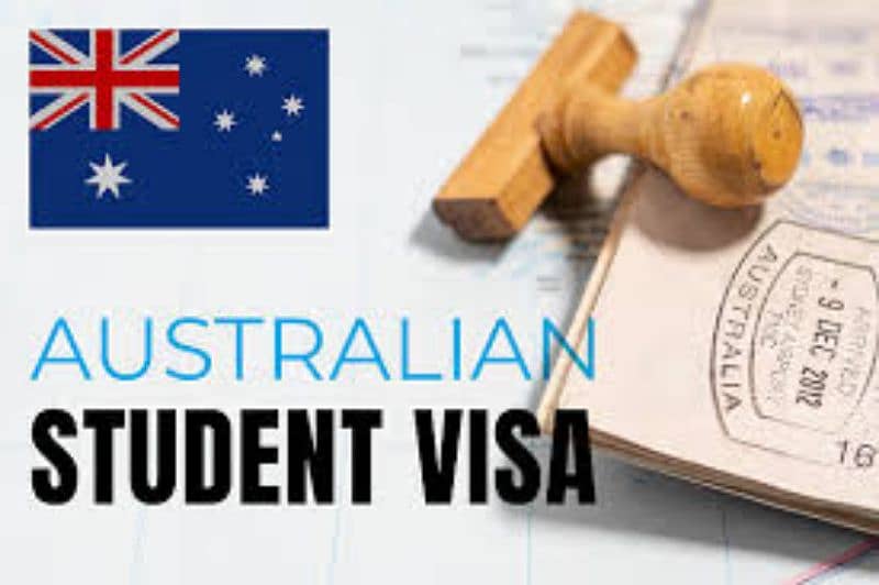 All country visas file preparation and appointment available 4