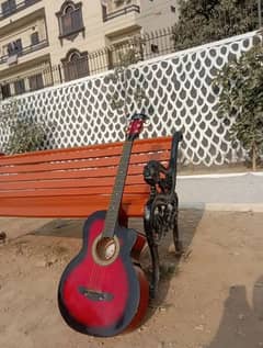 Acoustic guitar professional (slightly used