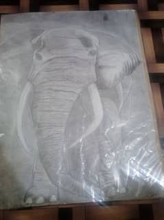 elephant sketching