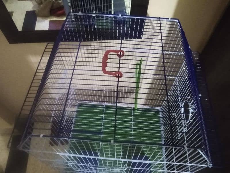 New cage for sale or WhatsApp number 03353820736 2