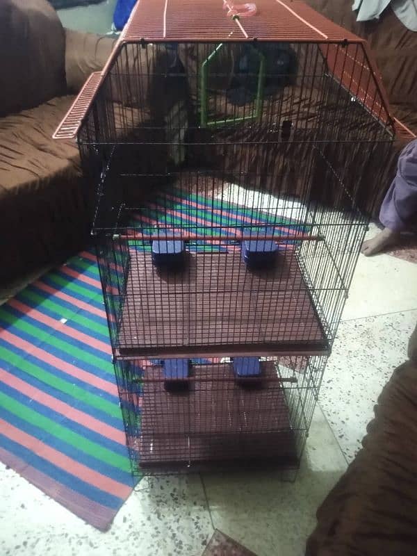 New cage for sale or WhatsApp number 03353820736 3