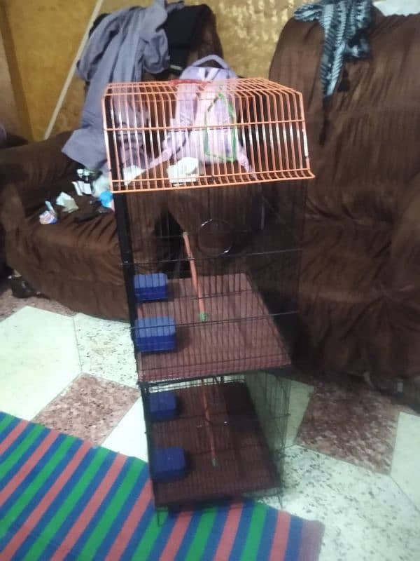 New cage for sale or WhatsApp number 03353820736 5