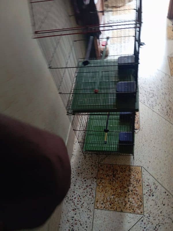 New cage for sale or WhatsApp number 03353820736 7