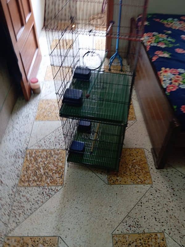 New cage for sale or WhatsApp number 03353820736 12