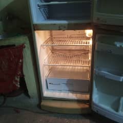 PEL company Freezer for sale