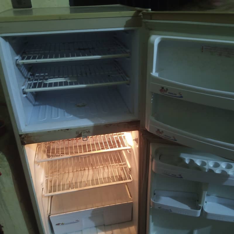 PEL company Freezer for sale 1