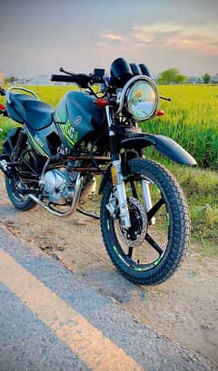 Yamaha ybr 125 g matte green