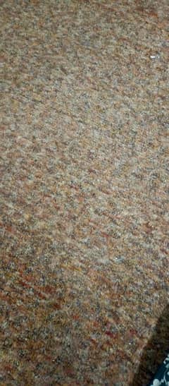 carpet