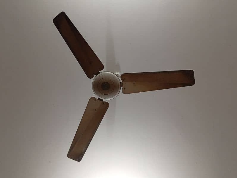 Ceiling Fan - Pak Fan - Deluxe 1