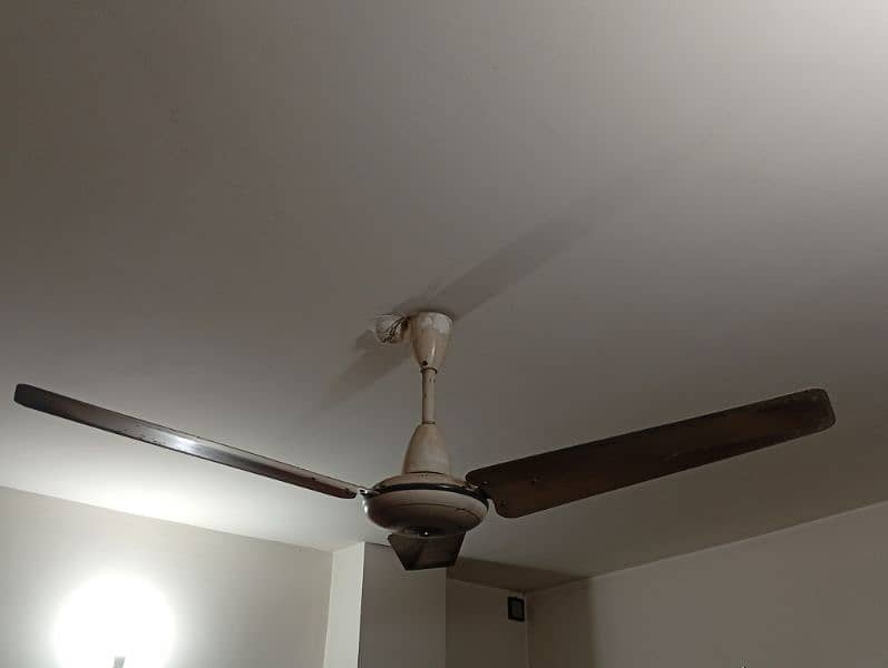 Ceiling Fan - Pak Fan - Deluxe 2