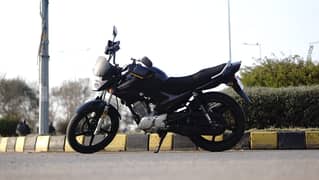 Yamaha YBR 125 2021