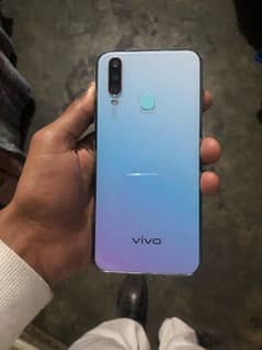 vivo