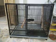 Brand New Raw Parrot Pahari Parrot Breeding Cage Contact 03362848259