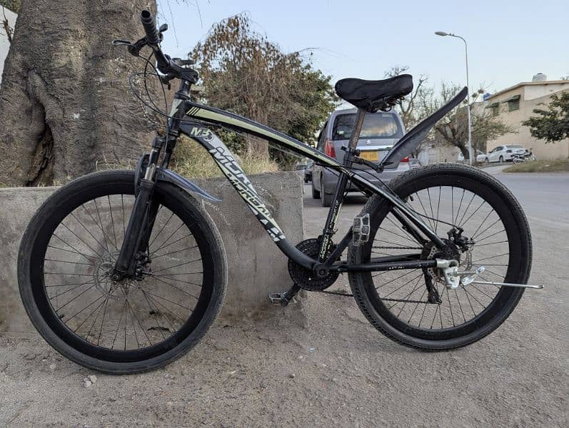 Morgan MTB bicycle for sale 3