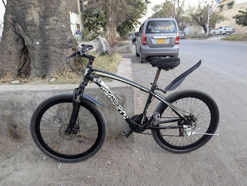 Morgan MTB bicycle for sale 4