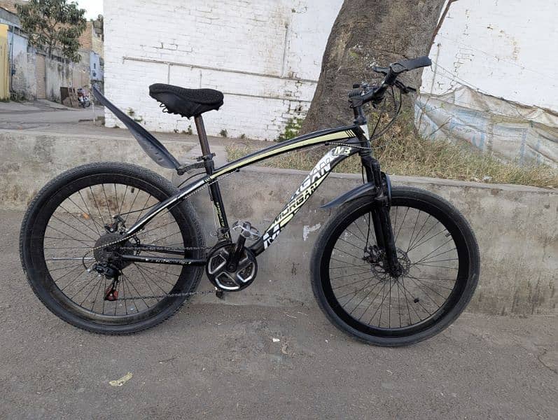 Morgan MTB bicycle for sale 6