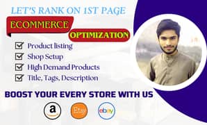 I will do your ECommerce store seo which will increase your sales.