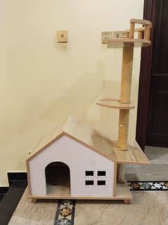 cat house