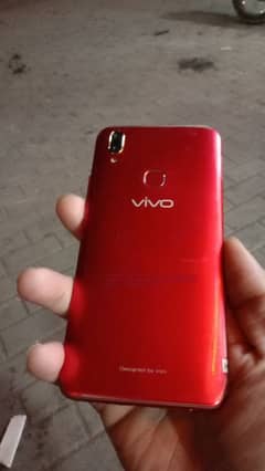 vivo