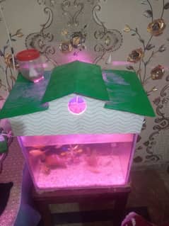 1.5/1.5 ft Aquarium for sale