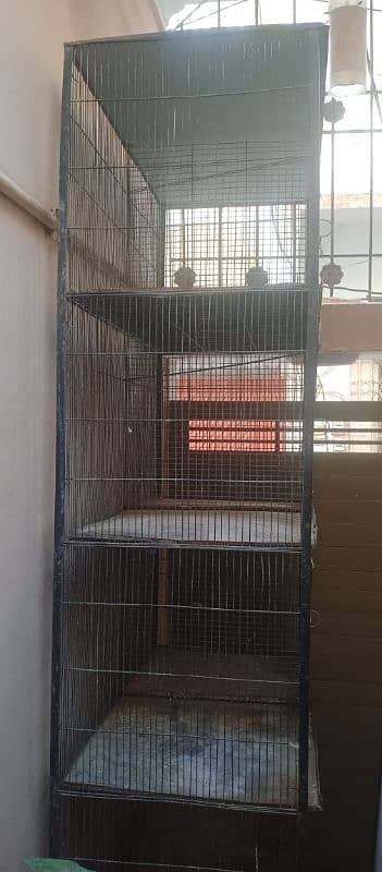 Cage For Sale 6