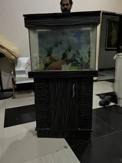 fish aquarium