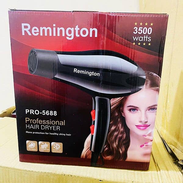 Professional Hair Dryer 1