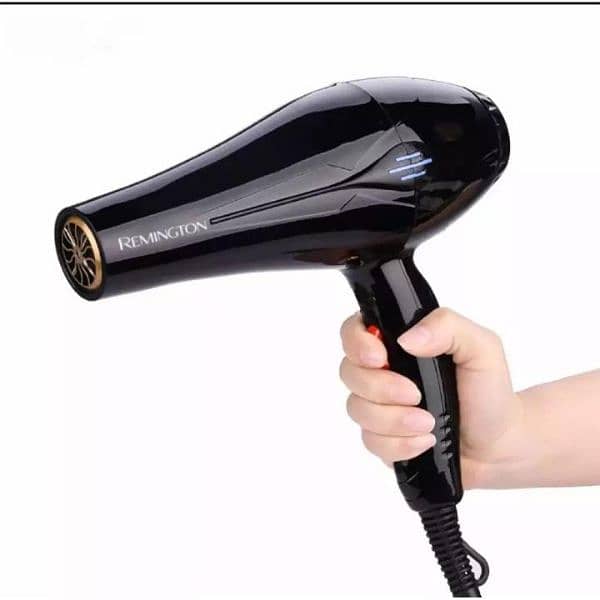 Professional Hair Dryer 0