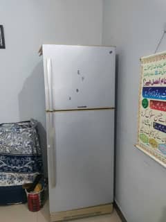 PEL Company Large Size Fridge For Sale