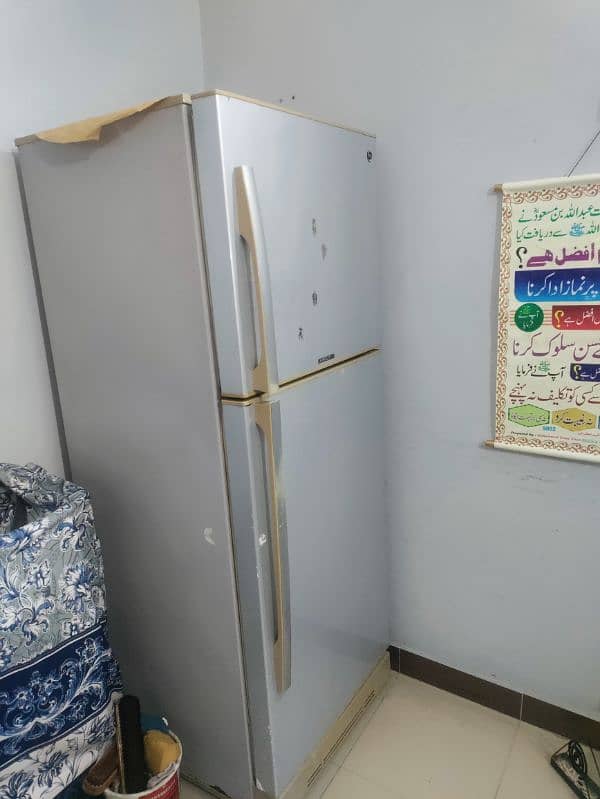 PEL Company Large Size Fridge For Sale 3