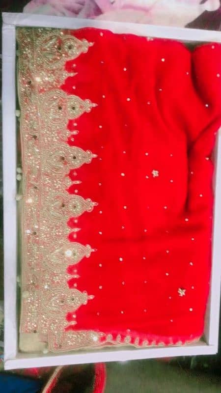 bridal lehnga for sale with birdl jewelry 0