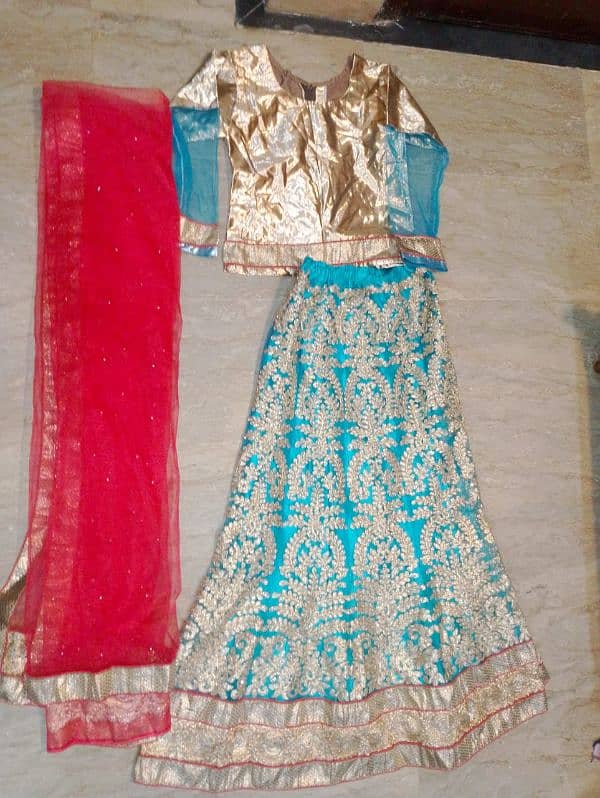 pretty fancy lehnga for girll 1