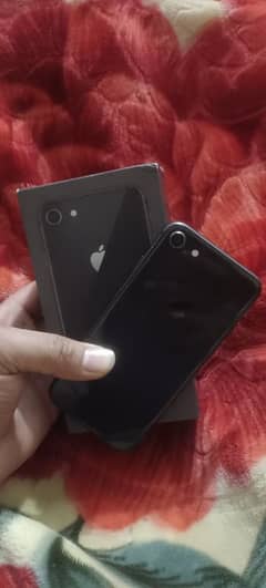 iphone 8 256gb pta approved