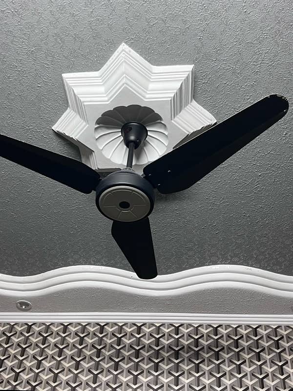 cieling fan 0