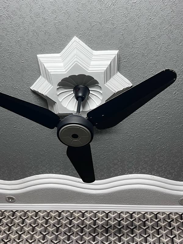 cieling fan 1