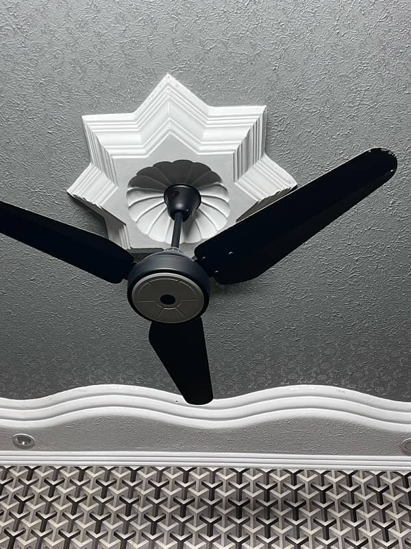 cieling fan 2