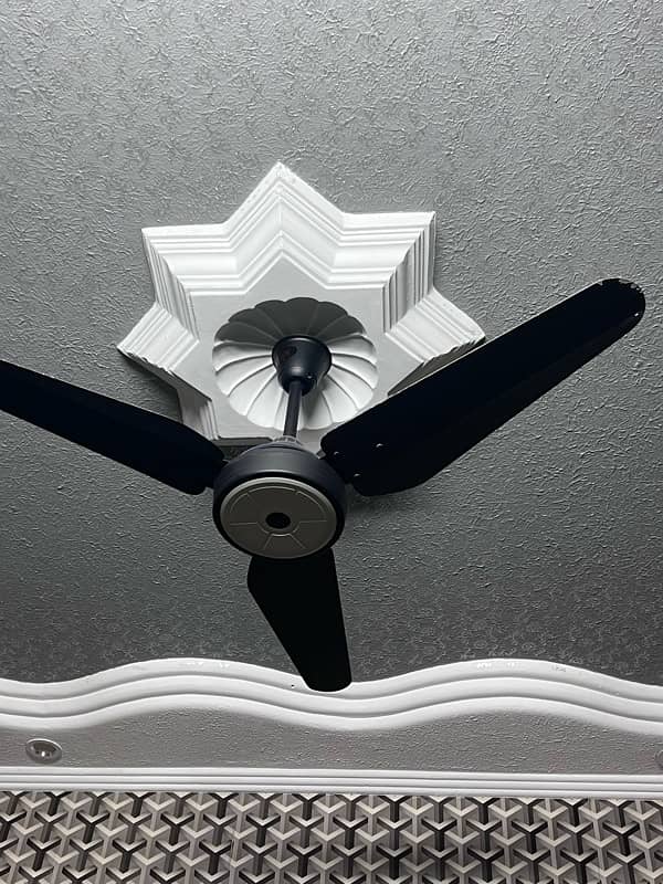 cieling fan 3