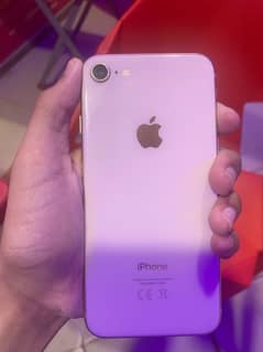 iPhone 8 pta proved golden colour