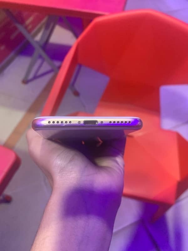 iPhone 8 pta proved golden colour 4