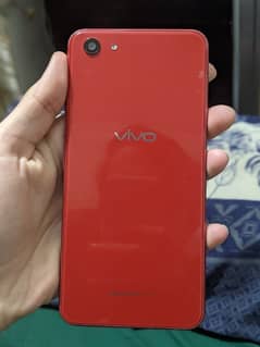 vivo