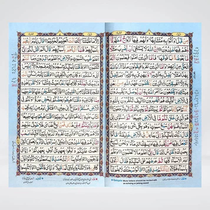 Color Coded 16 Lines Tajveedi Quran (Offset Paper) 3